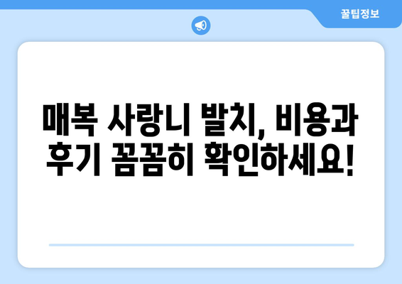 경상남도 함안군 군북면 사랑니 치과 매복 발치 잘하는 곳 비용 | 후기 | 추천