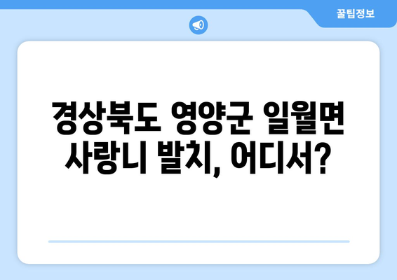 경상북도 영양군 일월면 사랑니 치과 매복 발치 잘하는 곳 비용 | 후기 | 추천