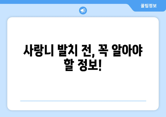 광주시 서구 금호2동 사랑니 치과 매복 발치 잘하는 곳 비용 | 후기 | 추천