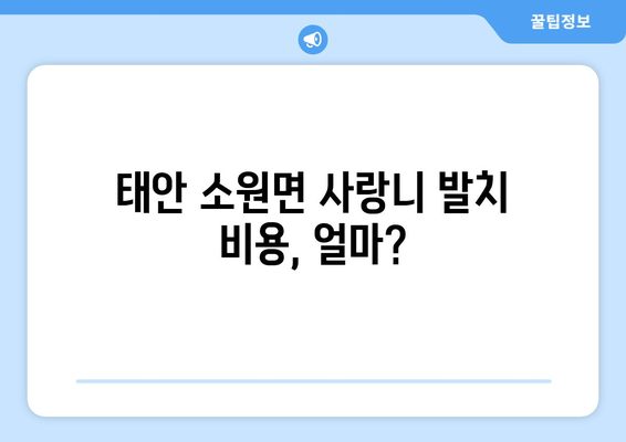 충청남도 태안군 소원면 사랑니 치과 매복 발치 잘하는 곳 비용 | 후기 | 추천