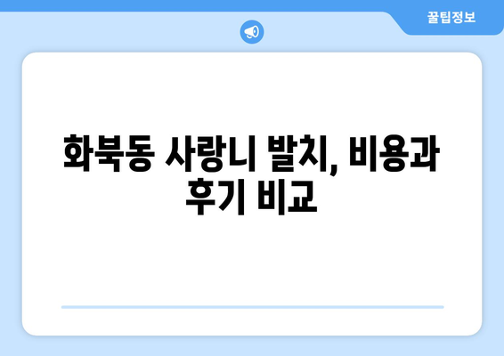 제주도 제주시 화북동 사랑니 치과 매복 발치 잘하는 곳 비용 | 후기 | 추천