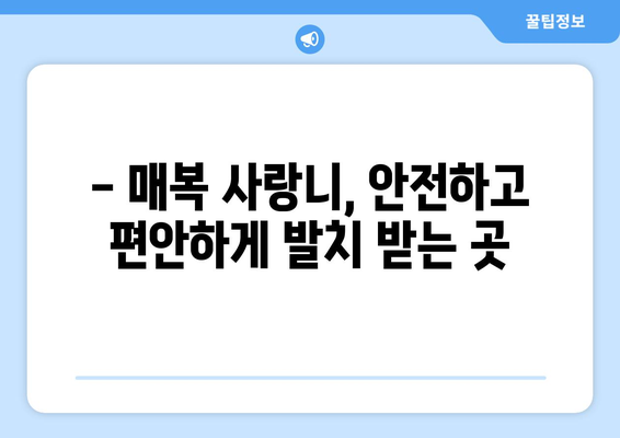 대전시 중구 유천1동 사랑니 치과 매복 발치 잘하는 곳 비용 | 후기 | 추천