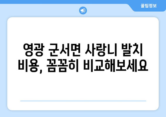 전라남도 영광군 군서면 사랑니 치과 매복 발치 잘하는 곳 비용 | 후기 | 추천