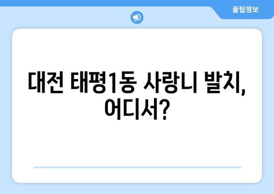 대전시 중구 태평1동 사랑니 치과 매복 발치 잘하는 곳 비용 | 후기 | 추천