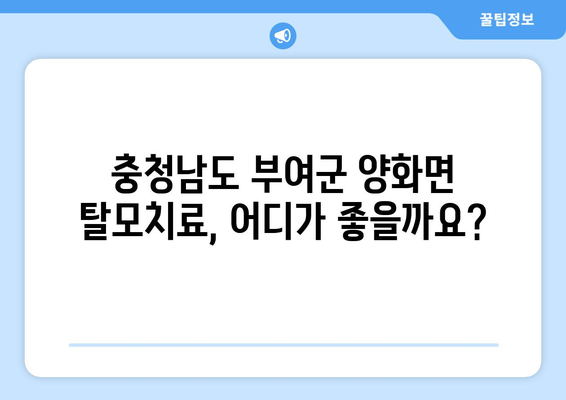 충청남도 부여군 양화면 모바일식 탈모치료 잘하는곳 두피관리 추천 베스트 헤어라인 정수리 비용 후기