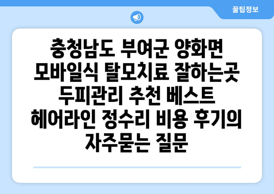 충청남도 부여군 양화면 모바일식 탈모치료 잘하는곳 두피관리 추천 베스트 헤어라인 정수리 비용 후기