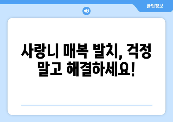 전라남도 해남군 삼산면 사랑니 치과 매복 발치 잘하는 곳 비용 | 후기 | 추천