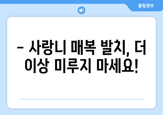 경상남도 사천시 동서금동 사랑니 치과 매복 발치 잘하는 곳 비용 | 후기 | 추천