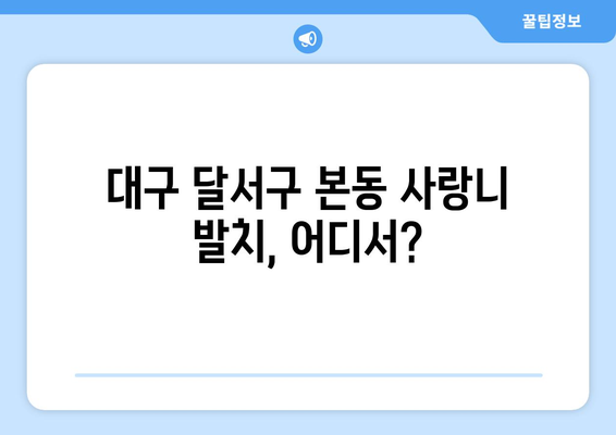 대구시 달서구 본동 사랑니 치과 매복 발치 잘하는 곳 비용 | 후기 | 추천