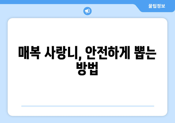 세종시 세종특별자치시 장군면 사랑니 치과 매복 발치 잘하는 곳 비용 | 후기 | 추천