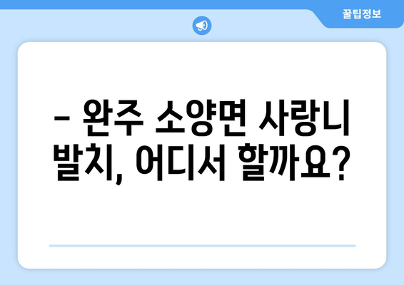 전라북도 완주군 소양면 사랑니 치과 매복 발치 잘하는 곳 비용 | 후기 | 추천