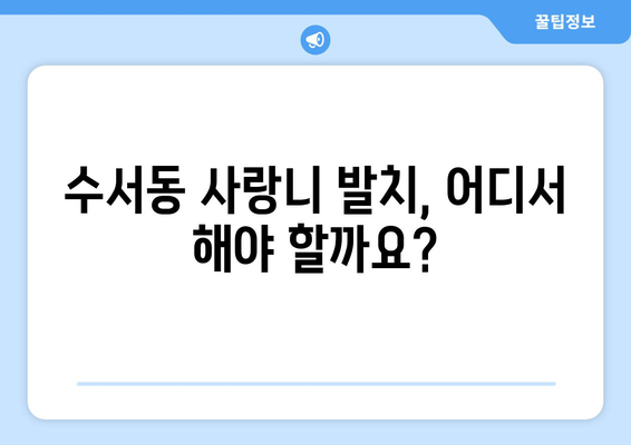 서울시 강남구 수서동 사랑니 치과 매복 발치 잘하는 곳 비용 | 후기 | 추천