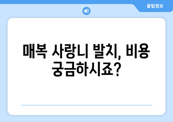 강원도 삼척시 미로면 사랑니 치과 매복 발치 잘하는 곳 비용 | 후기 | 추천