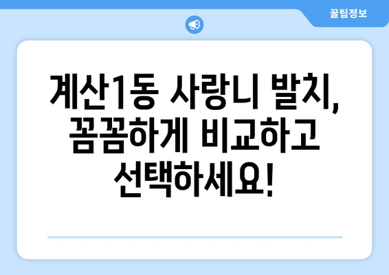 인천시 계양구 계산1동 사랑니 치과 매복 발치 잘하는 곳 비용 | 후기 | 추천