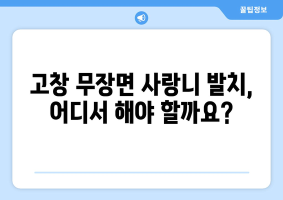전라북도 고창군 무장면 사랑니 치과 매복 발치 잘하는 곳 비용 | 후기 | 추천