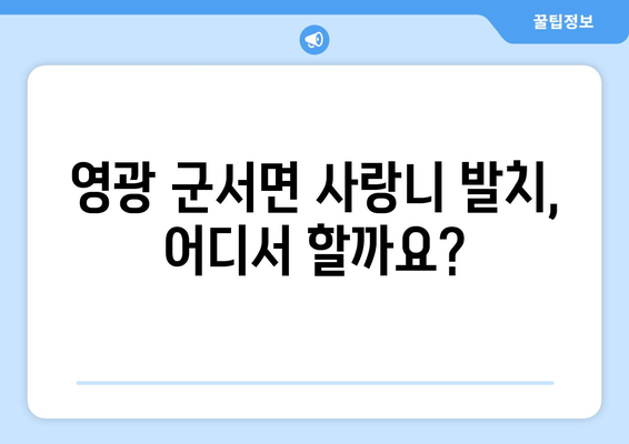 전라남도 영광군 군서면 사랑니 치과 매복 발치 잘하는 곳 비용 | 후기 | 추천