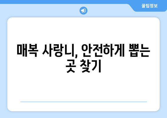 울산시 동구 방어동 사랑니 치과 매복 발치 잘하는 곳 비용 | 후기 | 추천