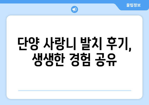 충청북도 단양군 어상천면 사랑니 치과 매복 발치 잘하는 곳 비용 | 후기 | 추천