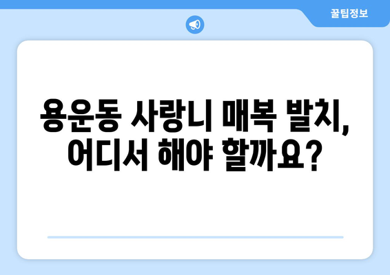 대전시 동구 용운동 사랑니 치과 매복 발치 잘하는 곳 비용 | 후기 | 추천