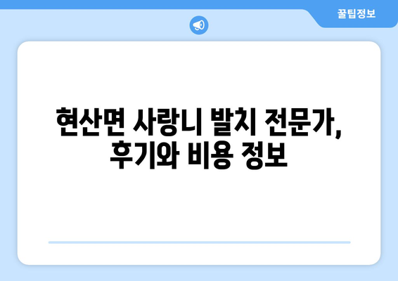 전라남도 해남군 현산면 사랑니 치과 매복 발치 잘하는 곳 비용 | 후기 | 추천