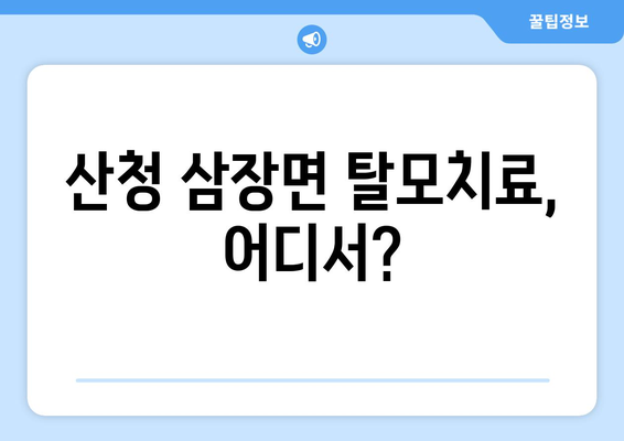 경상남도 산청군 삼장면 모바일식 탈모치료 잘하는곳 두피관리 추천 베스트 헤어라인 정수리 비용 후기
