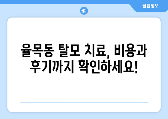 인천시 중구 율목동 모바일식 탈모치료 잘하는곳 두피관리 추천 베스트 헤어라인 정수리 비용 후기