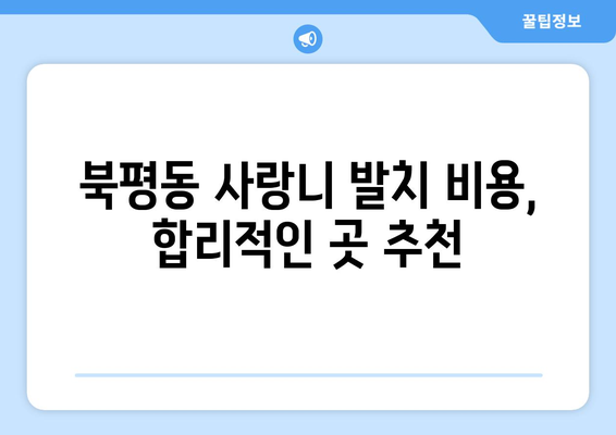 강원도 동해시 북평동 사랑니 치과 매복 발치 잘하는 곳 비용 | 후기 | 추천