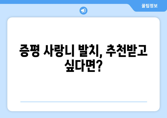 충청북도 증평군 증평읍 사랑니 치과 매복 발치 잘하는 곳 비용 | 후기 | 추천