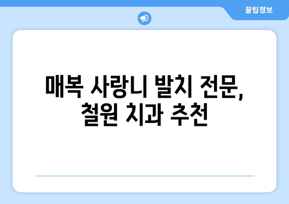 강원도 철원군 철원읍 사랑니 치과 매복 발치 잘하는 곳 비용 | 후기 | 추천