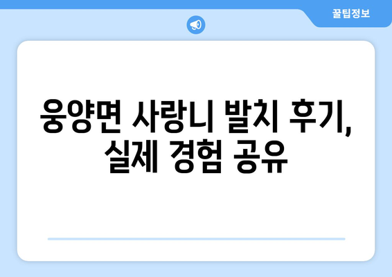 경상남도 거창군 웅양면 사랑니 치과 매복 발치 잘하는 곳 비용 | 후기 | 추천