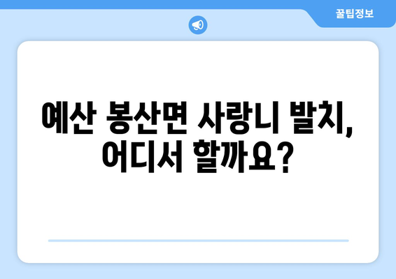 충청남도 예산군 봉산면 사랑니 치과 매복 발치 잘하는 곳 비용 | 후기 | 추천