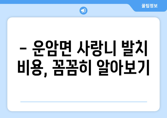 전라북도 임실군 운암면 사랑니 치과 매복 발치 잘하는 곳 비용 | 후기 | 추천