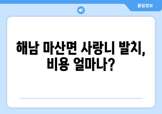 전라남도 해남군 마산면 사랑니 치과 매복 발치 잘하는 곳 비용 | 후기 | 추천