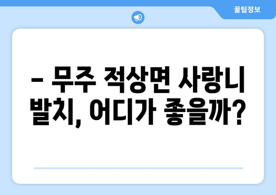 전라북도 무주군 적상면 사랑니 치과 매복 발치 잘하는 곳 비용 | 후기 | 추천