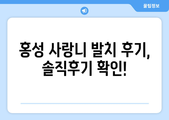 충청남도 홍성군 홍성읍 사랑니 치과 매복 발치 잘하는 곳 비용 | 후기 | 추천