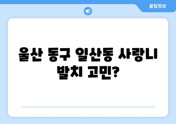 울산시 동구 일산동 사랑니 치과 매복 발치 잘하는 곳 비용 | 후기 | 추천