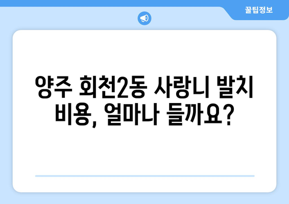 경기도 양주시 회천2동 사랑니 치과 매복 발치 잘하는 곳 비용 | 후기 | 추천