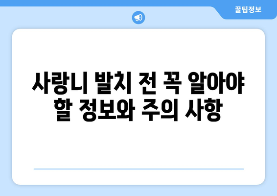 전라북도 완주군 이서면 사랑니 치과 매복 발치 잘하는 곳 비용 | 후기 | 추천