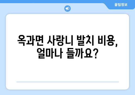 전라남도 곡성군 옥과면 사랑니 치과 매복 발치 잘하는 곳 비용 | 후기 | 추천