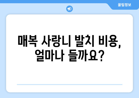 경기도 가평군 청평면 사랑니 치과 매복 발치 잘하는 곳 비용 | 후기 | 추천
