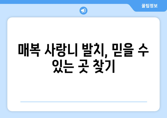 인천시 연수구 옥련2동 사랑니 치과 매복 발치 잘하는 곳 비용 | 후기 | 추천