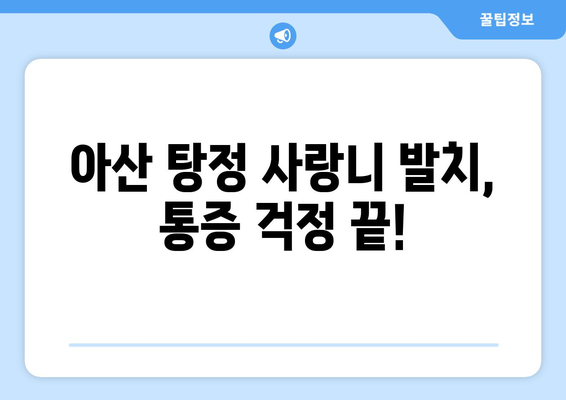 충청남도 아산시 탕정면 사랑니 치과 매복 발치 잘하는 곳 비용 | 후기 | 추천