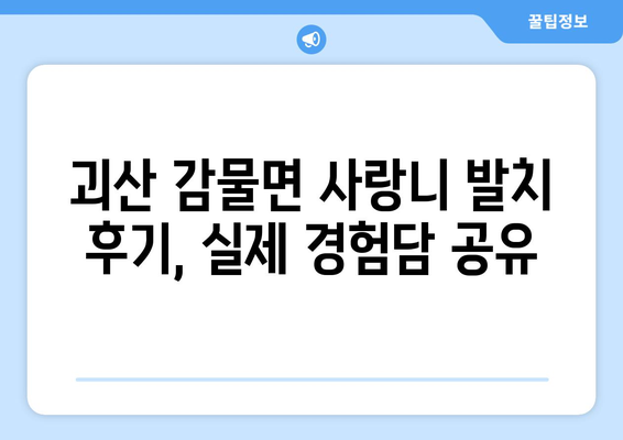 충청북도 괴산군 감물면 사랑니 치과 매복 발치 잘하는 곳 비용 | 후기 | 추천