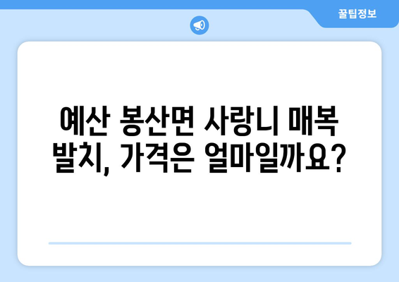 충청남도 예산군 봉산면 사랑니 치과 매복 발치 잘하는 곳 비용 | 후기 | 추천