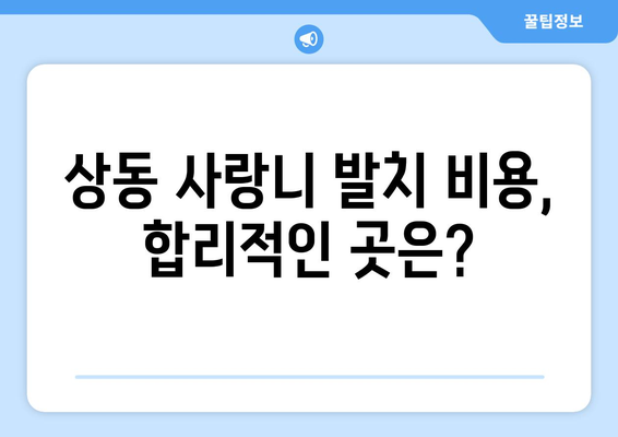 대구시 수성구 상동 사랑니 치과 매복 발치 잘하는 곳 비용 | 후기 | 추천