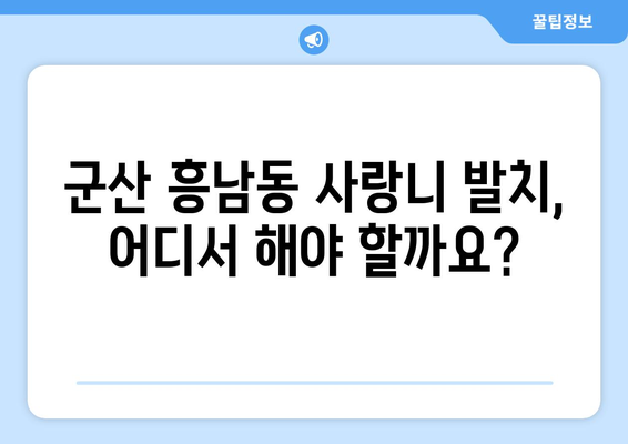 전라북도 군산시 흥남동 사랑니 치과 매복 발치 잘하는 곳 비용 | 후기 | 추천