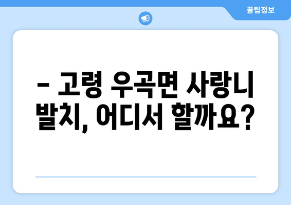 경상북도 고령군 우곡면 사랑니 치과 매복 발치 잘하는 곳 비용 | 후기 | 추천