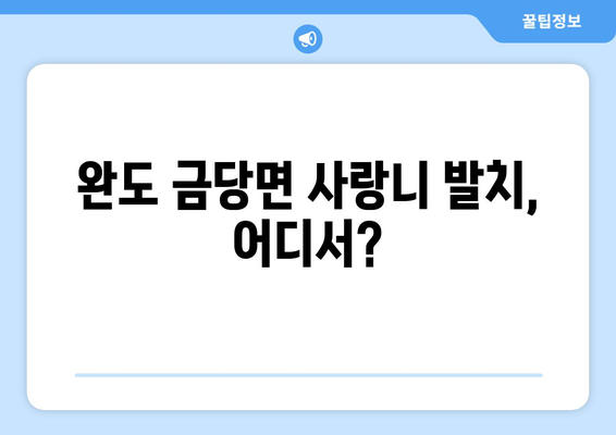 전라남도 완도군 금당면 사랑니 치과 매복 발치 잘하는 곳 비용 | 후기 | 추천