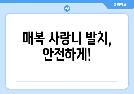 인천시 남동구 논현고잔동 사랑니 치과 매복 발치 잘하는 곳 비용 | 후기 | 추천