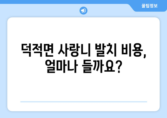 인천시 옹진군 덕적면 사랑니 치과 매복 발치 잘하는 곳 비용 | 후기 | 추천